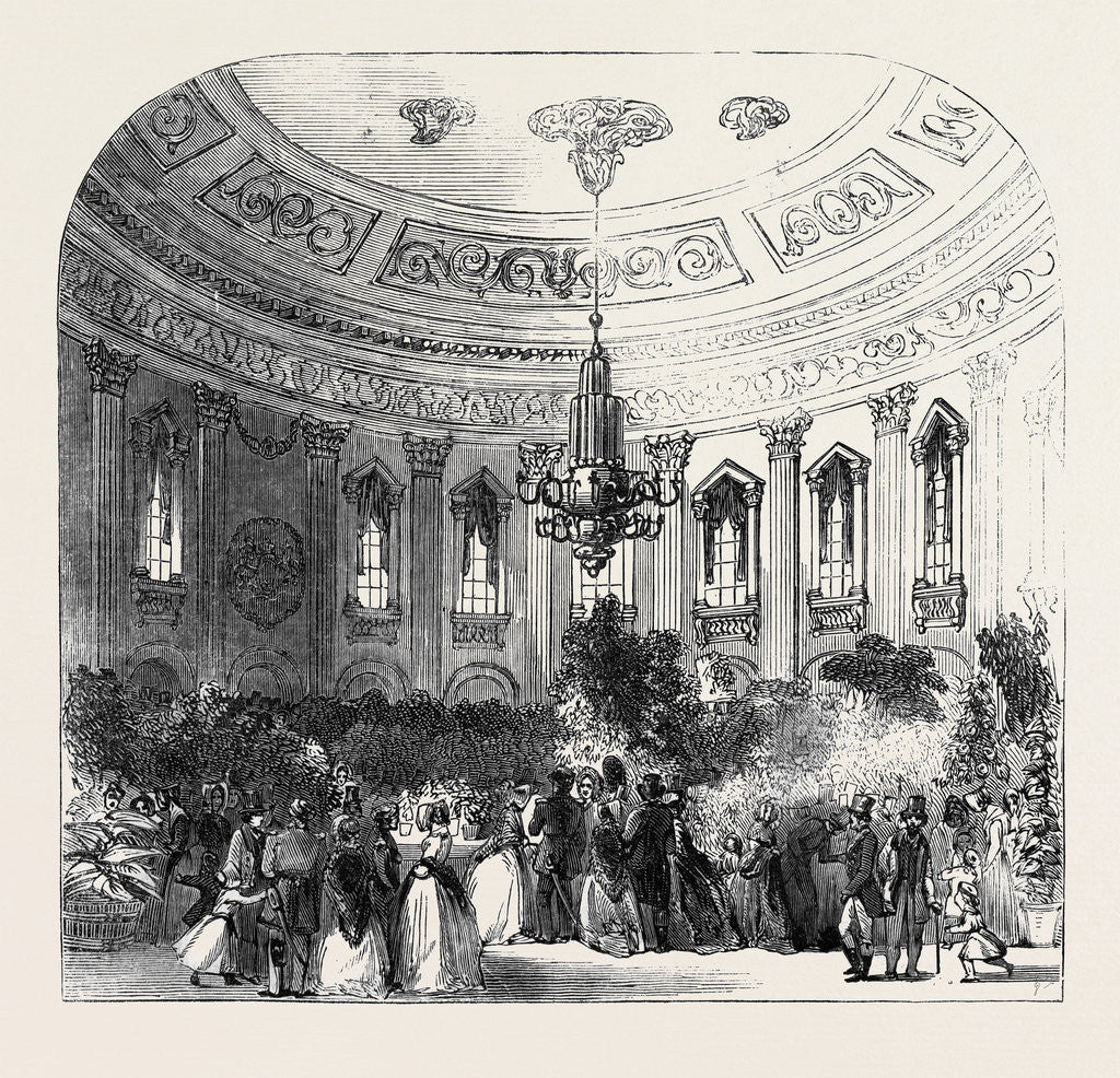 Detail of Exhibition of the Royal Horticultural Society, at the Rotunda, Dublin by Anonymous