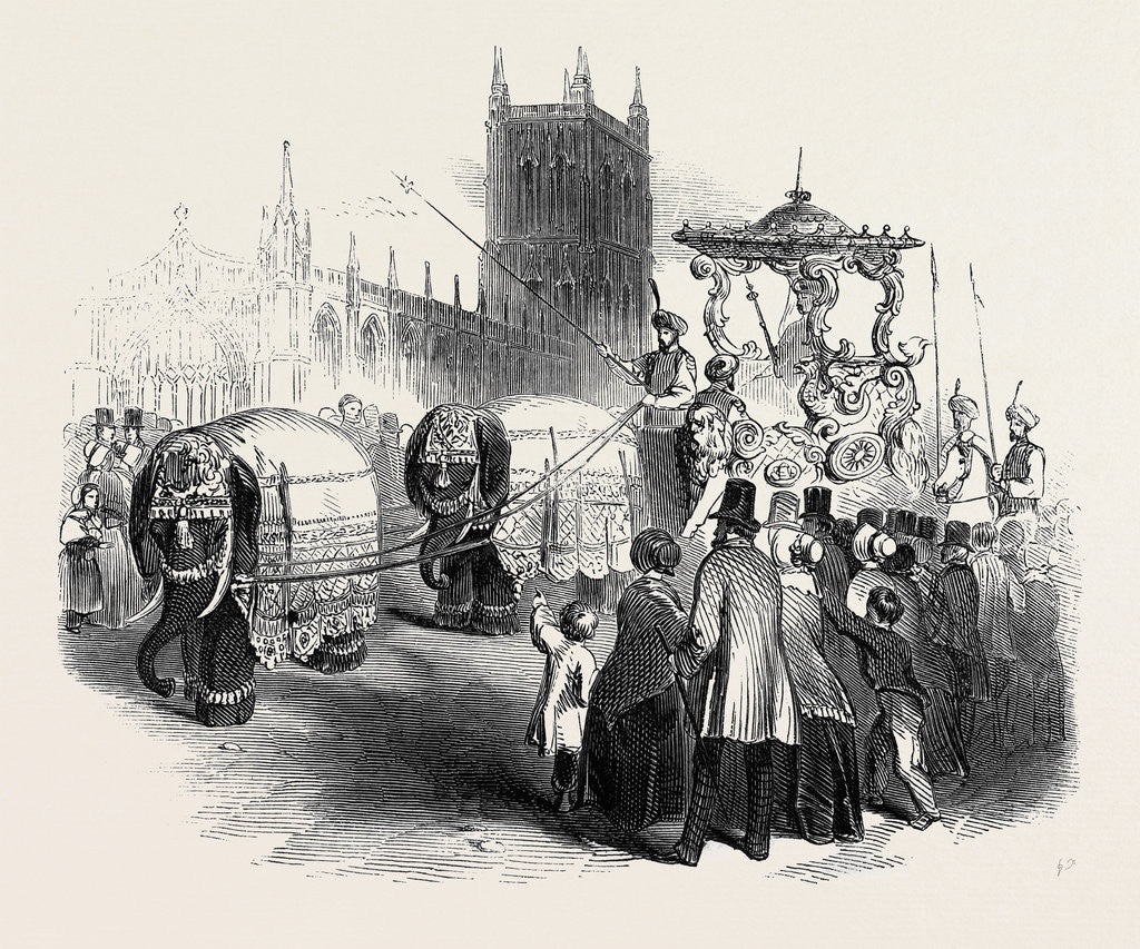 Detail of Hughes's Elephant Carriage, at Gloucester by Anonymous