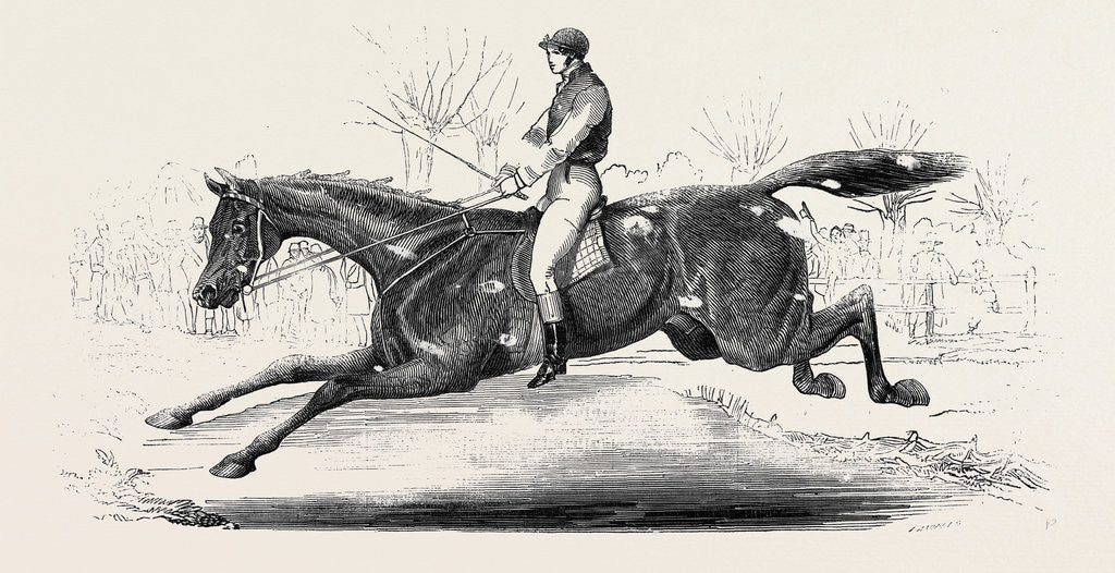 Detail of The Harrow Steeple Chase, the Last Brook by Anonymous