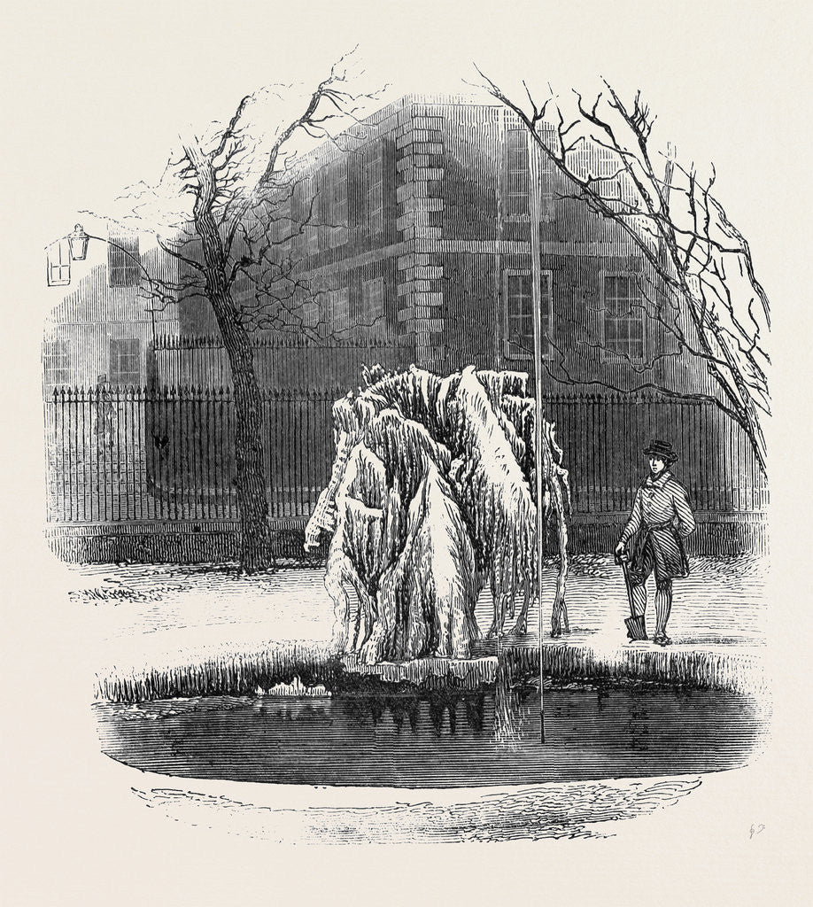 Detail of Ice Tree, Middle Temple. by Anonymous