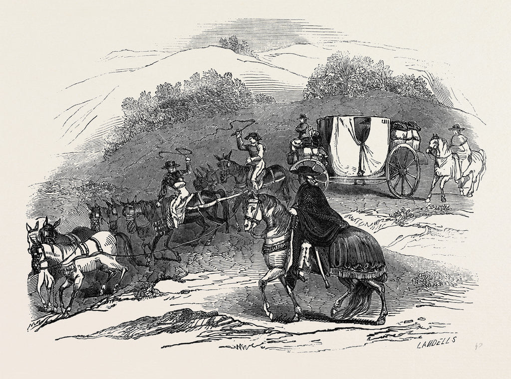 Detail of Travelling in Mexico. by Anonymous