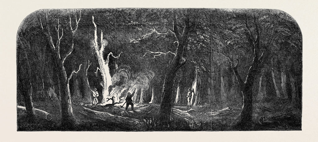 Detail of Panorama of the Ohio, Clearing a Forest by Anonymous