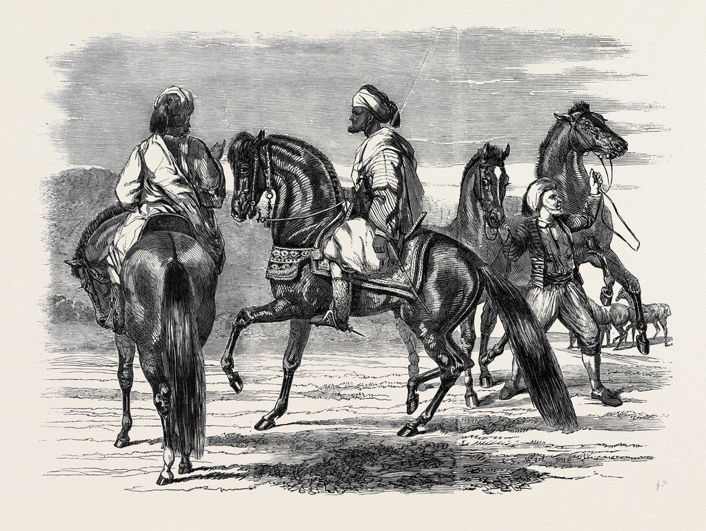 Detail of Barbs Presented to Queen Victoria by the Emperor of Morocco by Anonymous