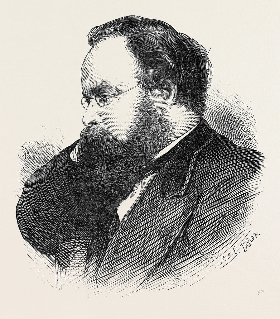 Detail of Mr. S. Plimsoll. M.P. 1873 by Anonymous