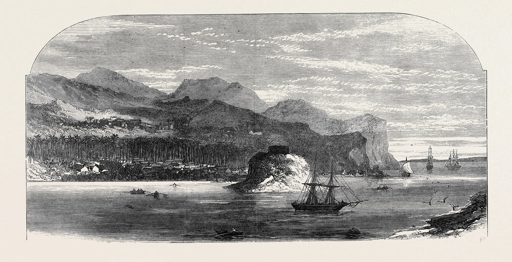 The Fiji Islands: Levuka the Capital 1873 by Anonymous