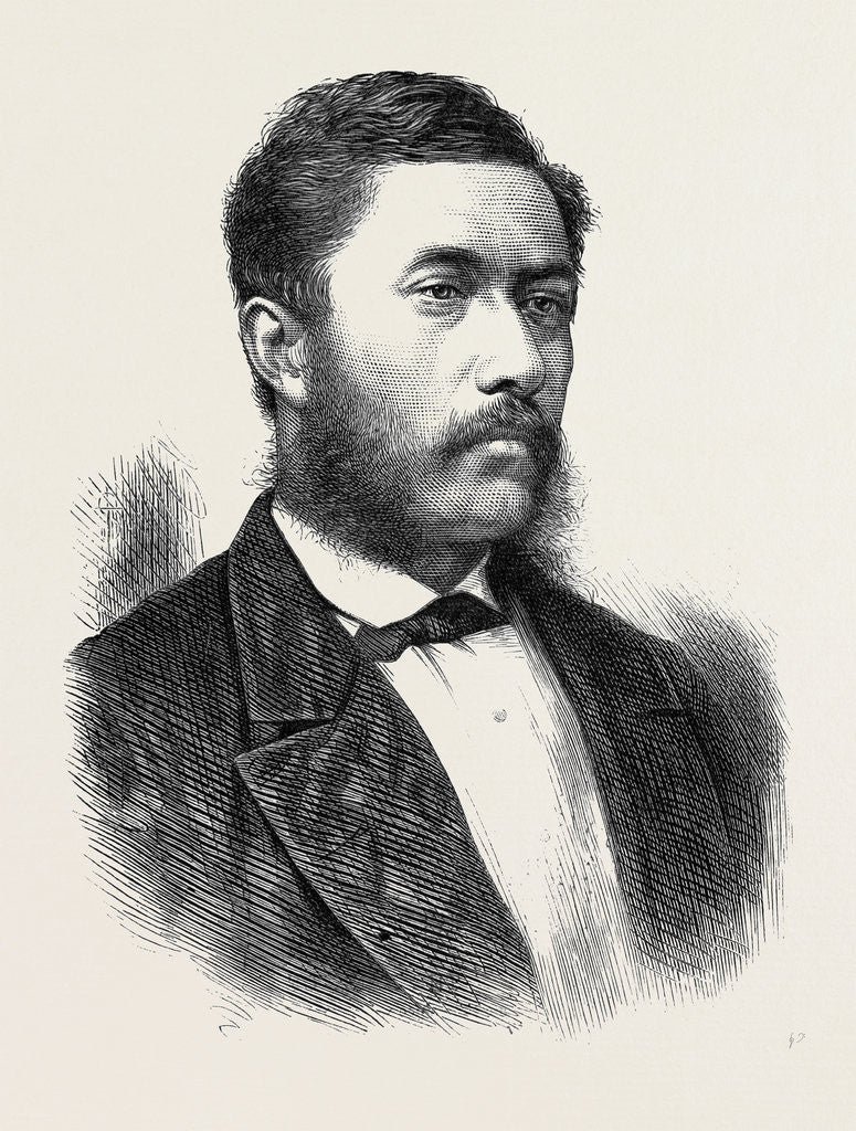 Detail of The New King of the Sandwich Islands 1873 by Anonymous