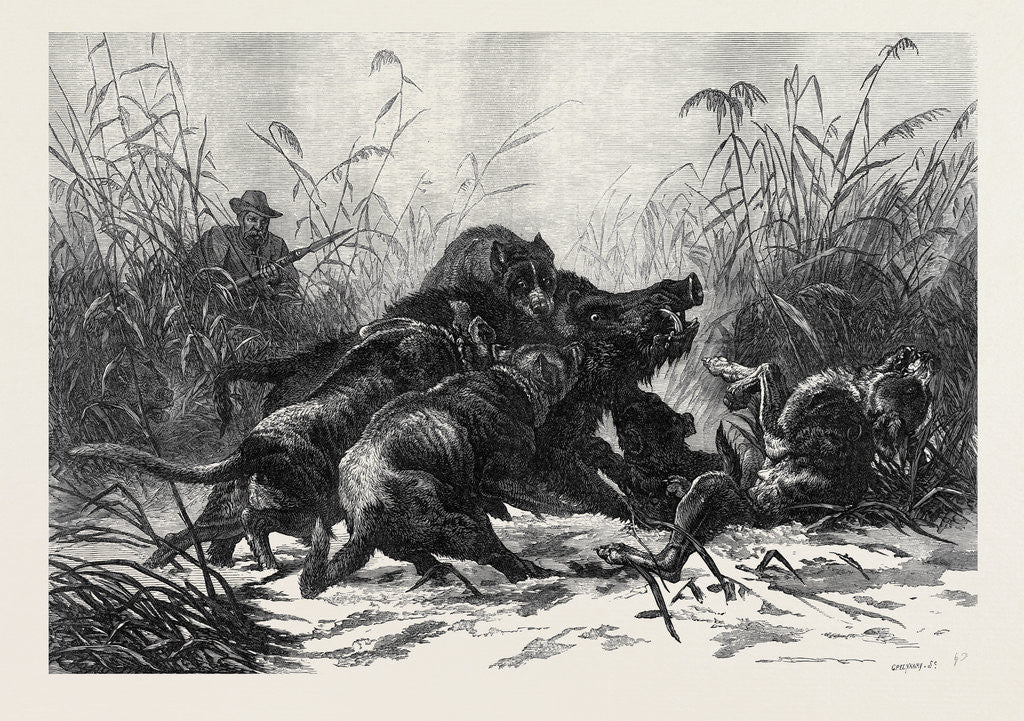 Detail of A Boar Hunt by Anonymous