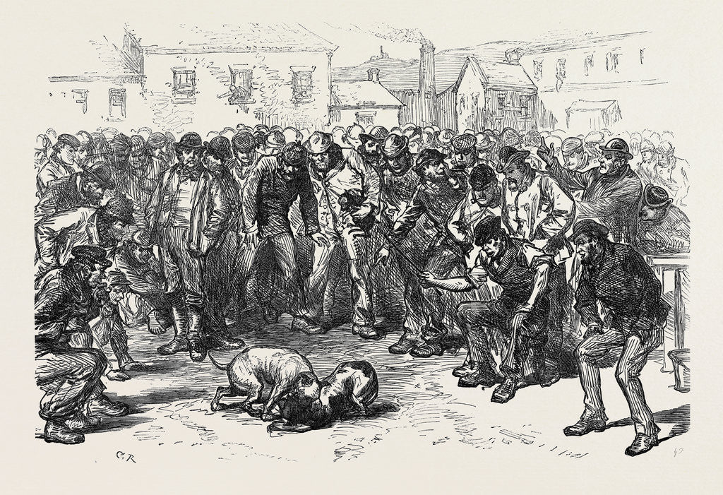 Detail of The Strike in South Wales: A Sunday's Amusement 1873 by Anonymous
