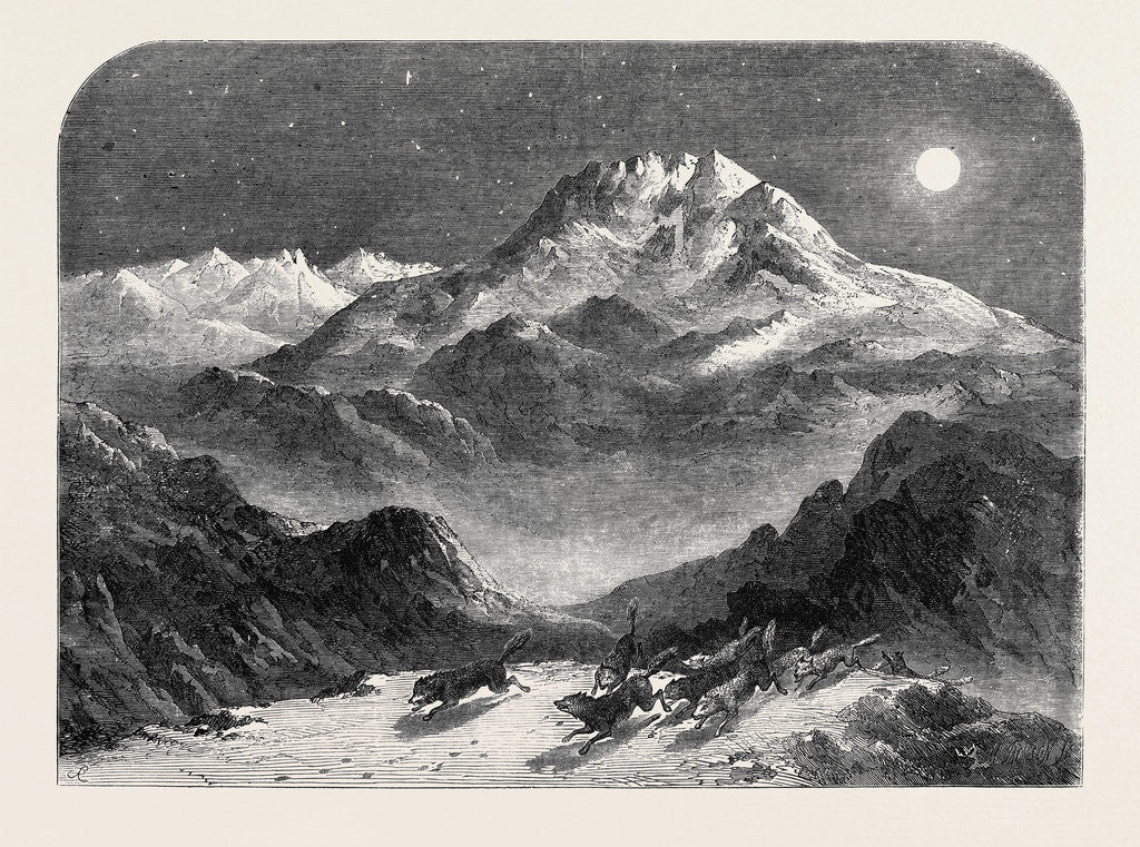 Detail of Schuershatten Norway by Anonymous