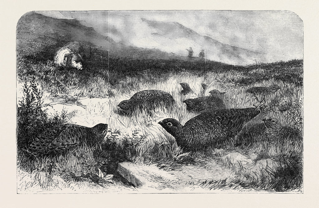 Detail of Grouse Shooting by Anonymous