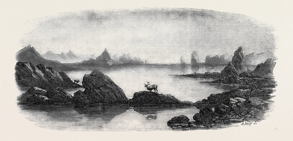 Detail of Coast Scene Near Trondhjem Lapland by Anonymous
