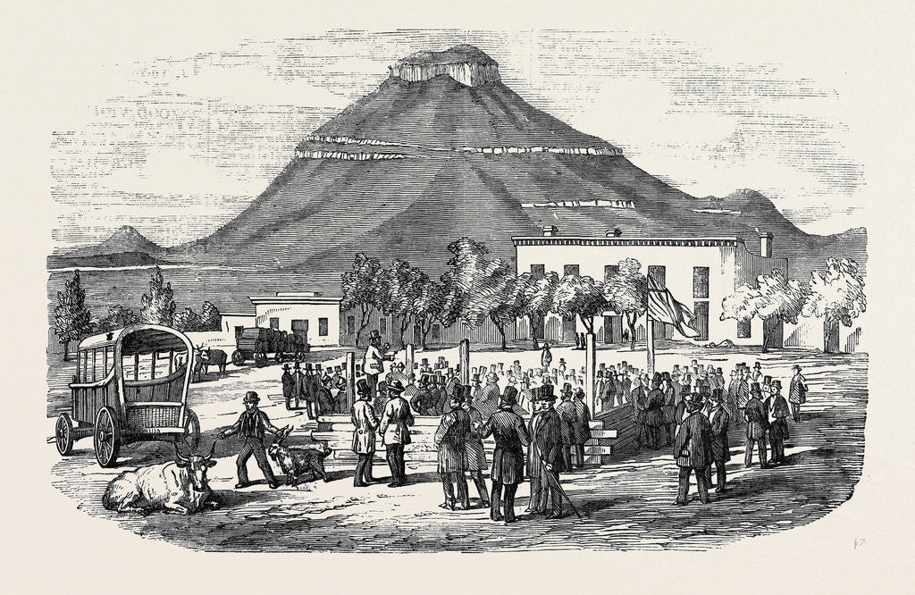 Detail of Sale of Angora Rams at Graaff Renet. by Anonymous
