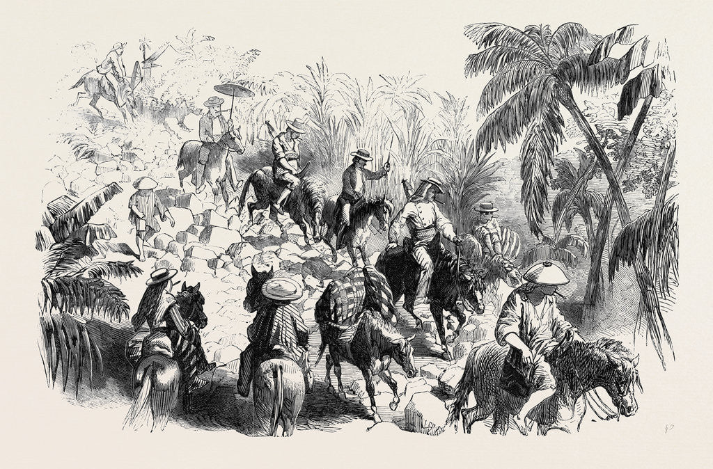 Detail of A Macadamised Road in Manilla by Anonymous