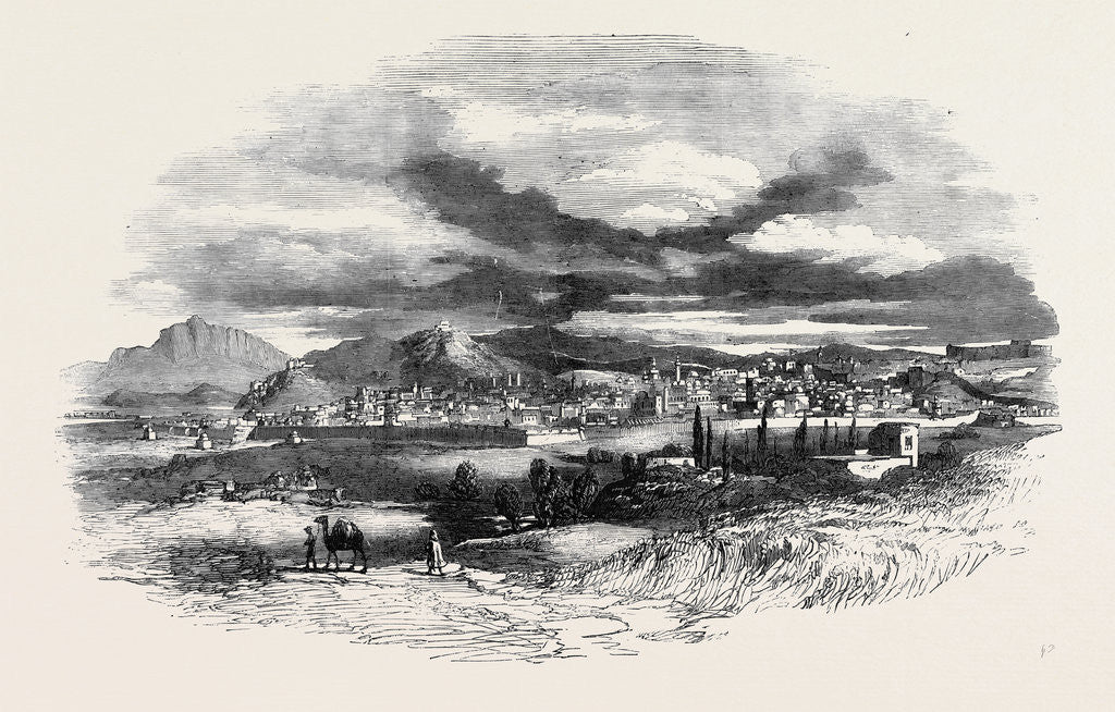 Detail of Tunis from the Road to Carthage by Anonymous