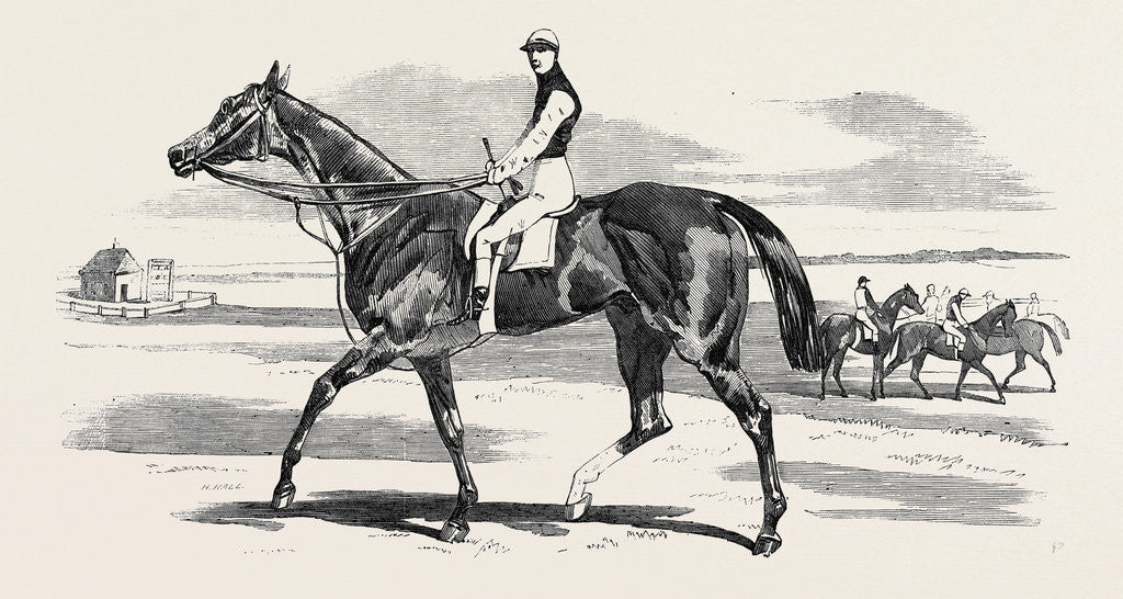 Detail of Odd Trick the Winner of the Cambridgeshire Stakes at Newmarket 1857 by Anonymous