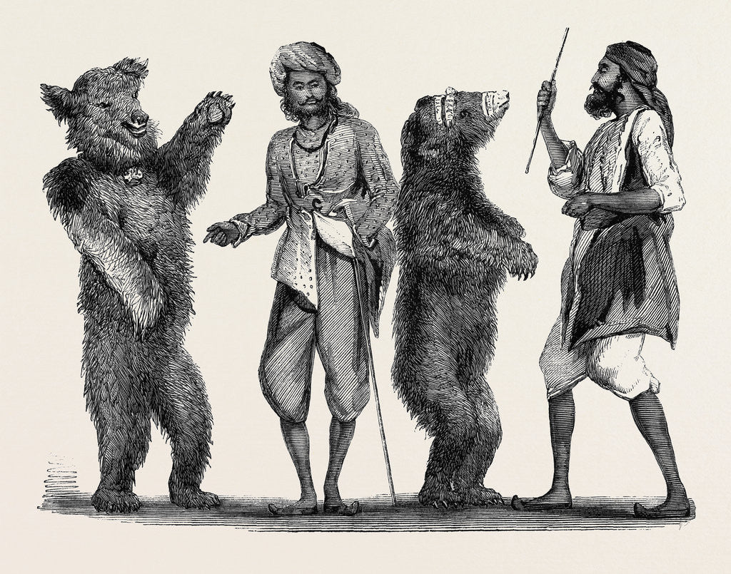 Detail of Dancing Bears in India from a Drawing by W. Carpenter by Anonymous