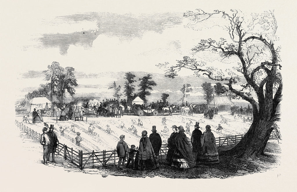 Detail of Agricultural Draining Match on the Duke of Sutherland's Estate at Trentham Staffordshire. by Anonymous