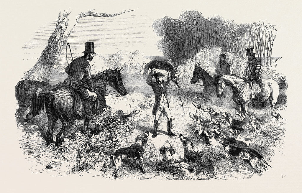 Detail of A Fox Caught in a Trap by Anonymous