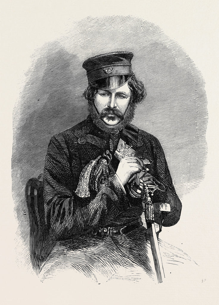 Detail of The Late Duke of Leeds by Anonymous