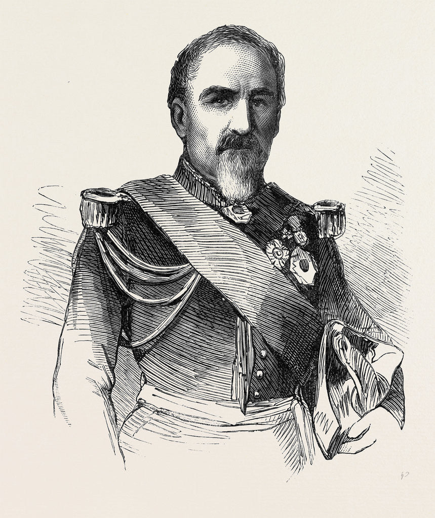 Detail of General Camou Commander of the 2nd Division of the Imperial Guard by Anonymous