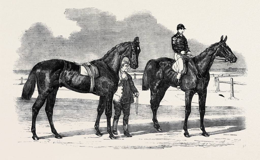 Detail of The Winners of the Derby and the Oaks, Musjid the Winner of the Derby Summerside the Winner of the Oaks by Anonymous