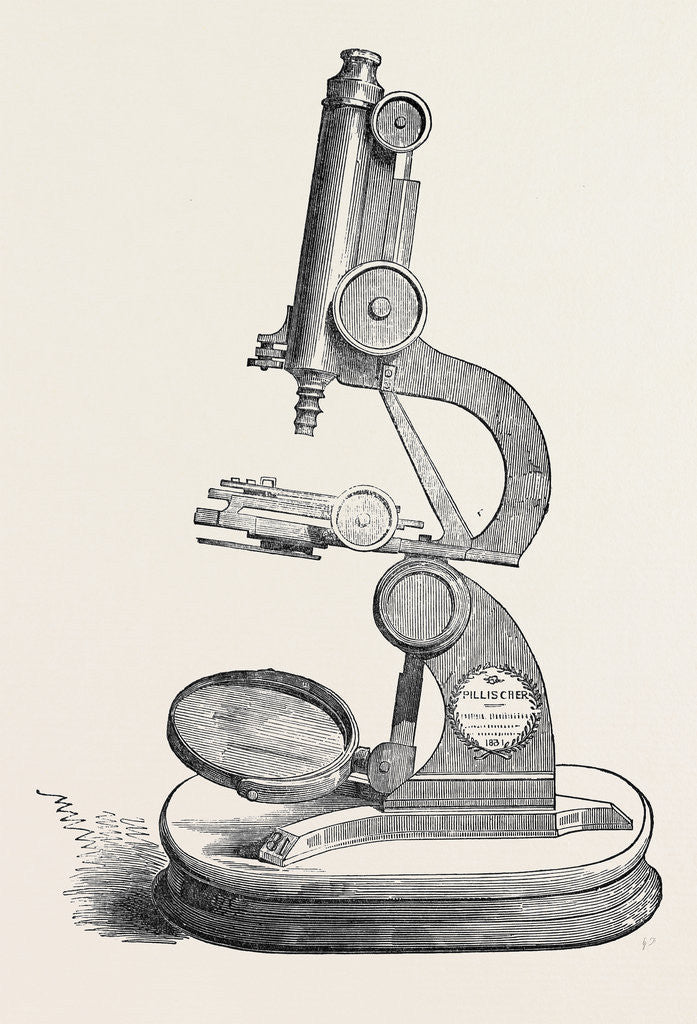 Detail of Pillischer's Microscope, the Great Exhibition by Anonymous