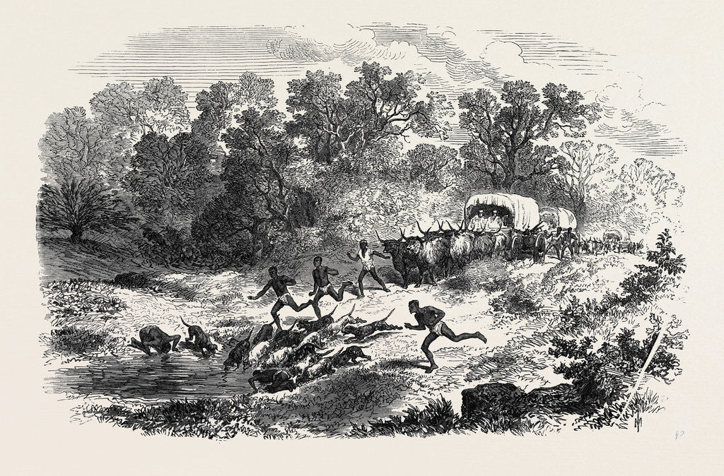 Detail of Travelling in Africa: The Rain-Pool by the Way 1869 by Anonymous