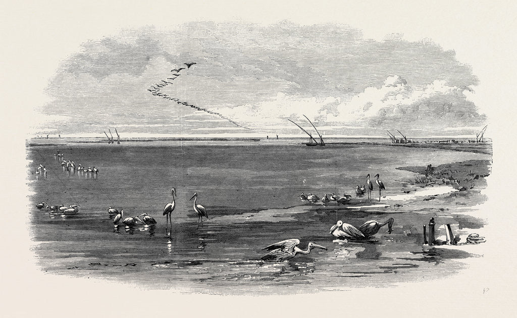 Detail of The Isthmus of Suez Maritime Canal: Lake Menzaleh 1869 by Anonymous