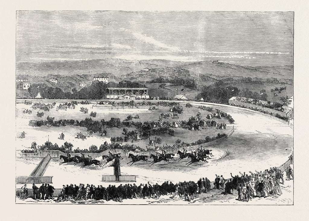 Detail of Cork Park Races: The Grand National Steeplechase 1869 by Anonymous