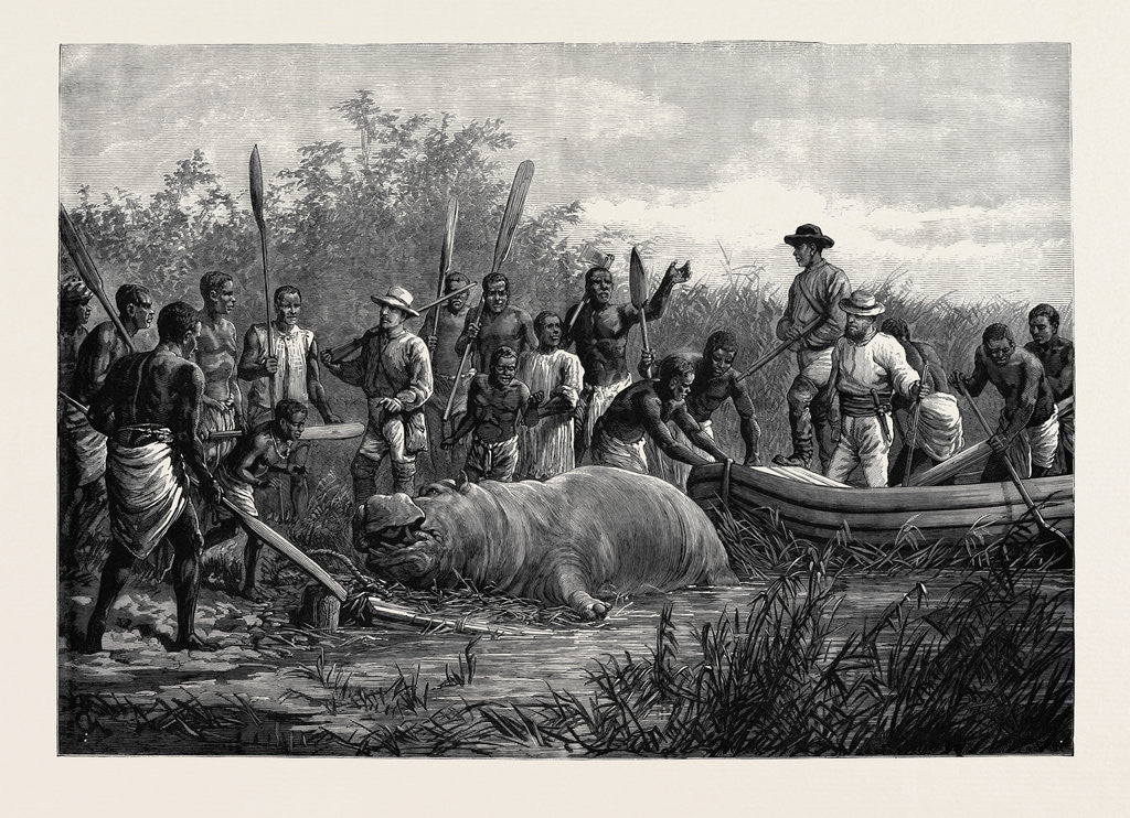Detail of Hippopotamus Hunting in Angola West Africa 1880 by Anonymous