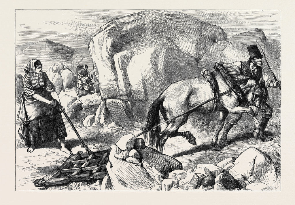 Detail of Ireland: Harrowing Under Difficulties Mountain Farm in County Mayo 1880 by Anonymous
