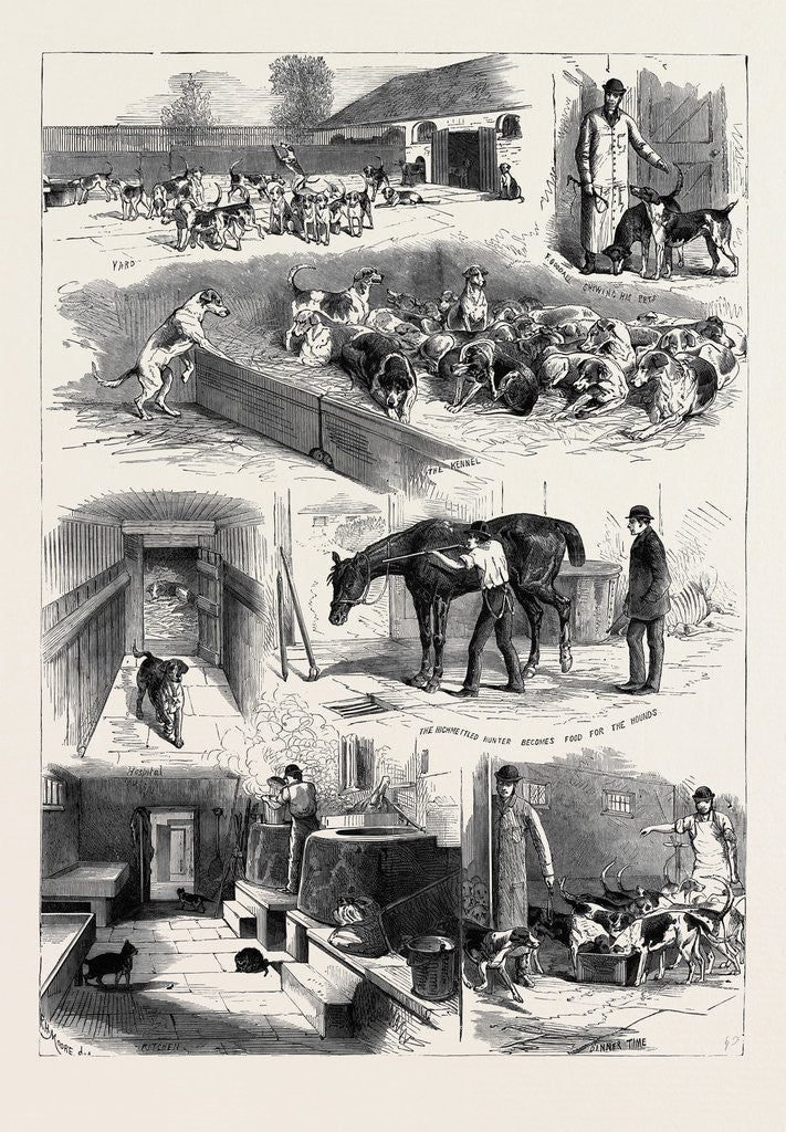 Detail of The Royal Buckhounds: The Kennels at Ascot 1880 by Anonymous