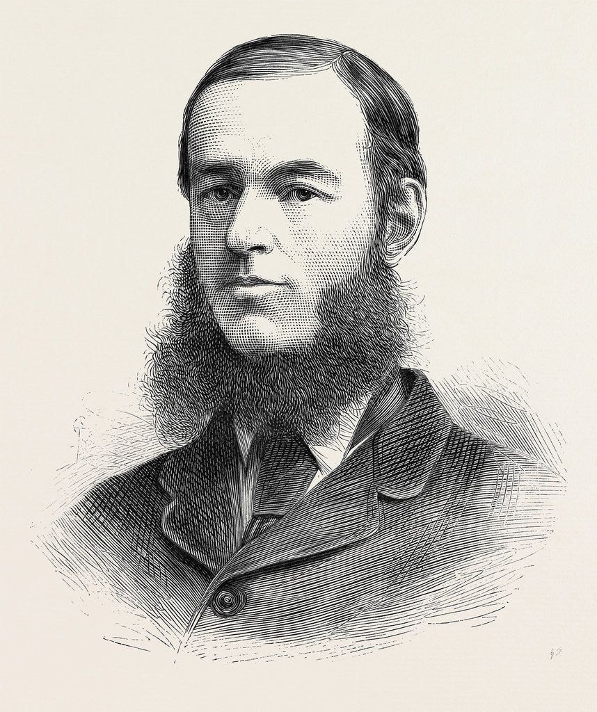 Detail of The Opening of Parliament Movers and Seconders of the Address in the Two Houses of Parliament: The Earl of Rosse 1880 by Anonymous