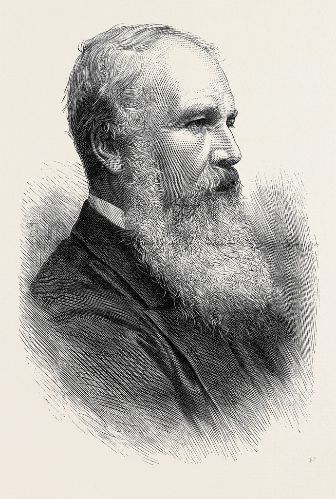 Detail of The Very Rev. J.C. Ryle Dean of Salisbury 1880 by Anonymous