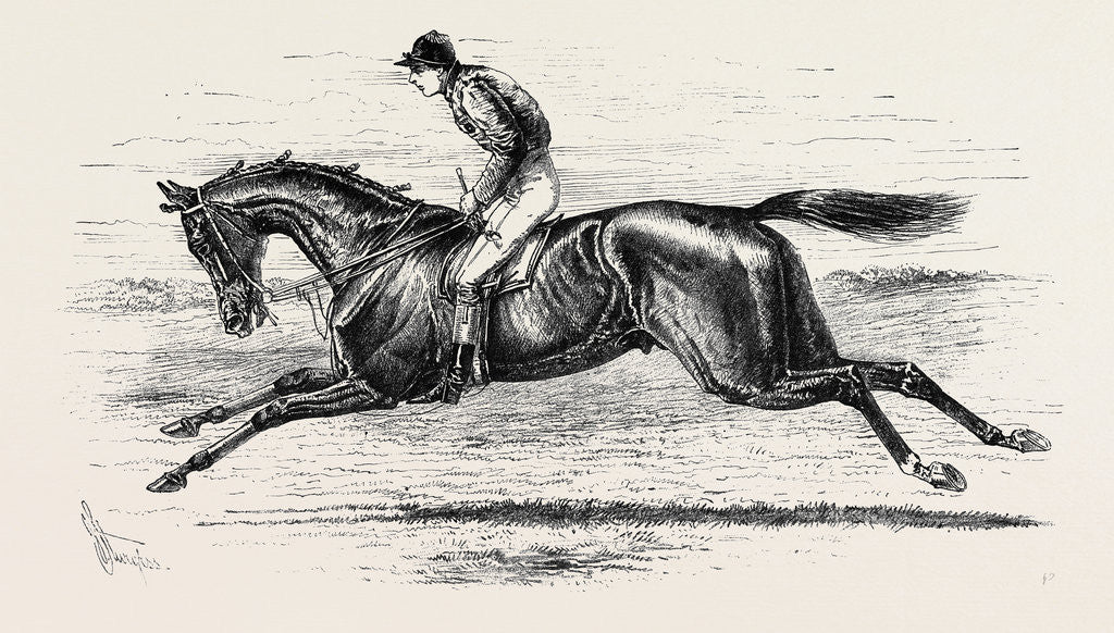 Detail of Bend or the Winner of the Derby 1880 by Anonymous