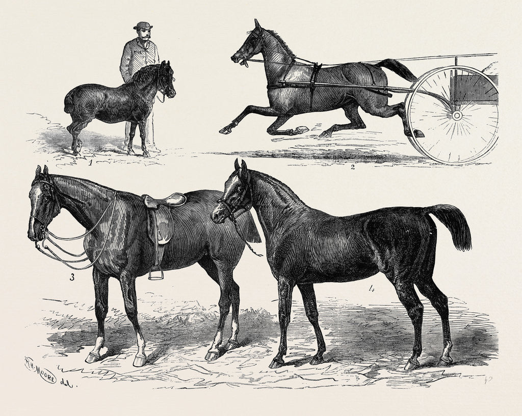 Detail of The Horse Show 1880 by Anonymous