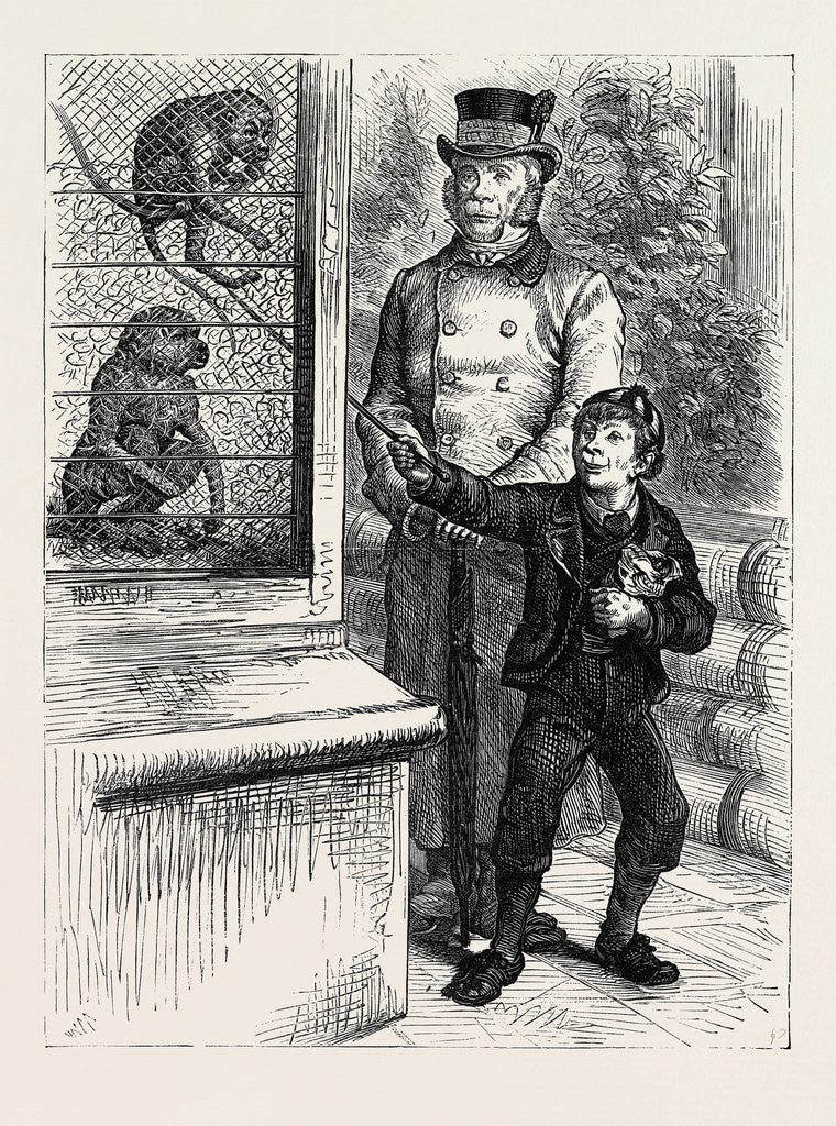 Detail of At the Zoological Society's Gardens in London: The Monkeys 1880 by Anonymous