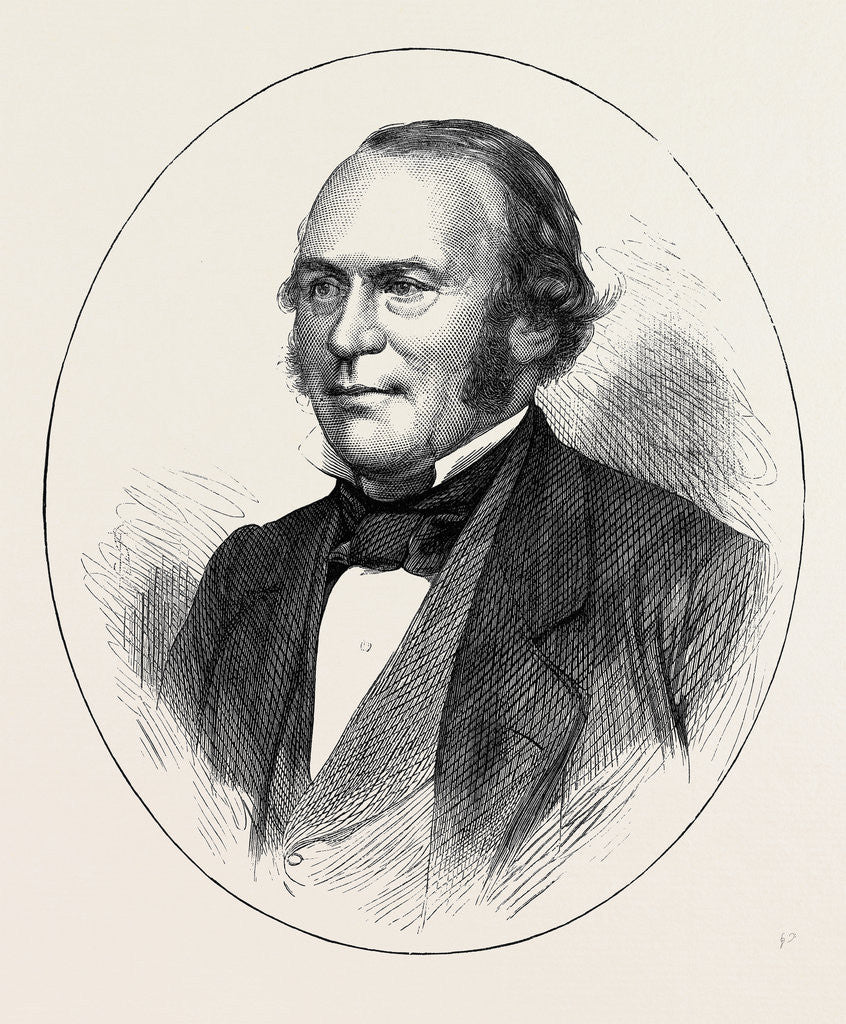 Detail of The Late Professor Agassiz 1874 by Anonymous