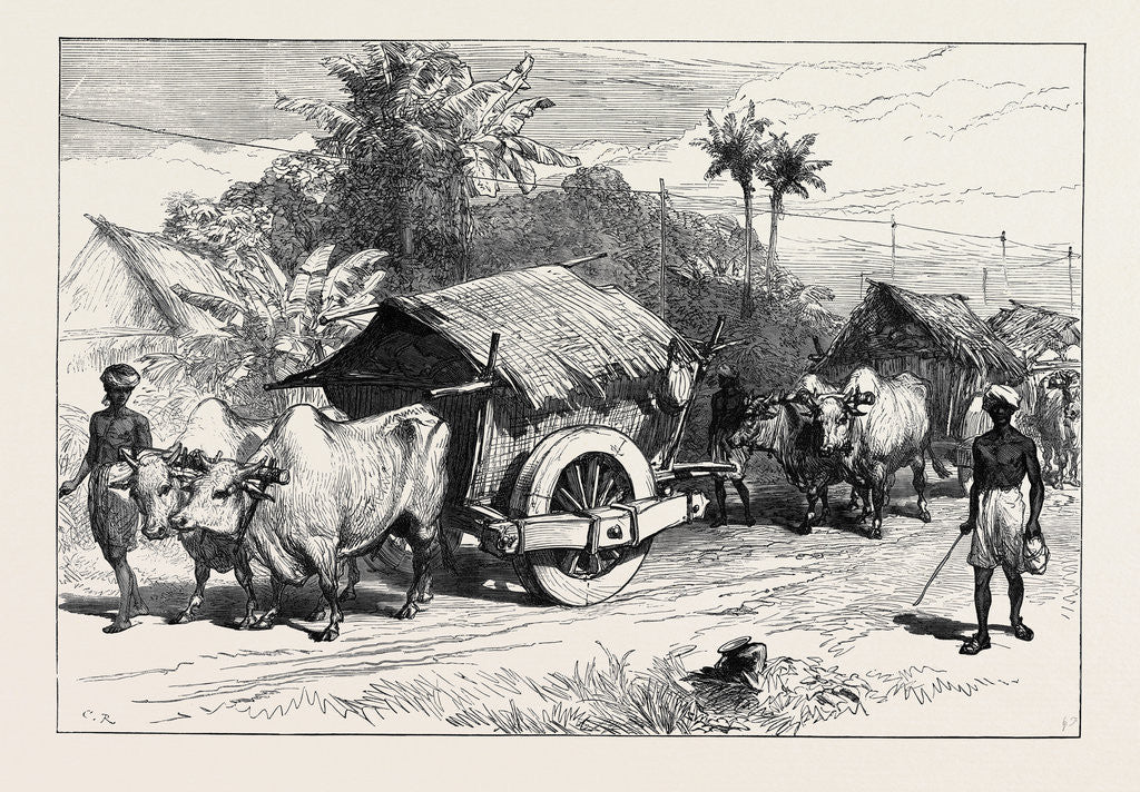 Detail of The Famine in Bengal: Bullock Hackeries for Carrying Grain 1874 by Anonymous