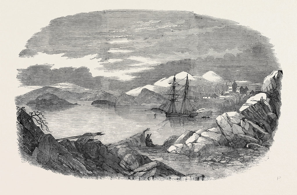 Detail of Fiskernoes, a Danish Settlement, in the South of Greenland, with the Isabel at Anchor by Anonymous