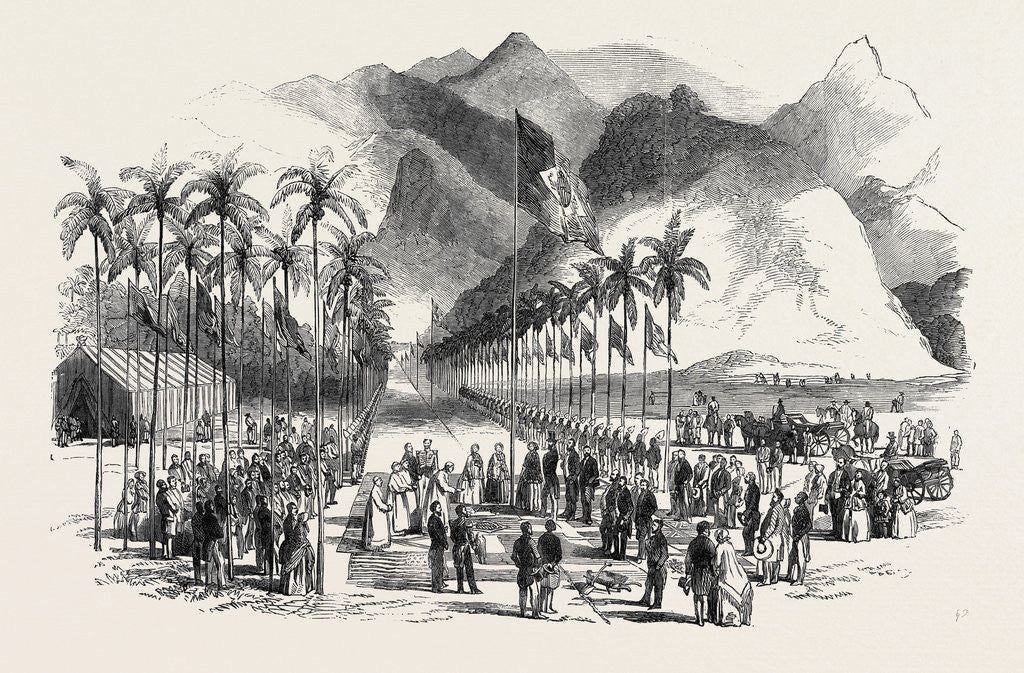 Detail of Commencement of the Works of the Petropolis Railway by the Emperor of Brazil, 1852 by Anonymous