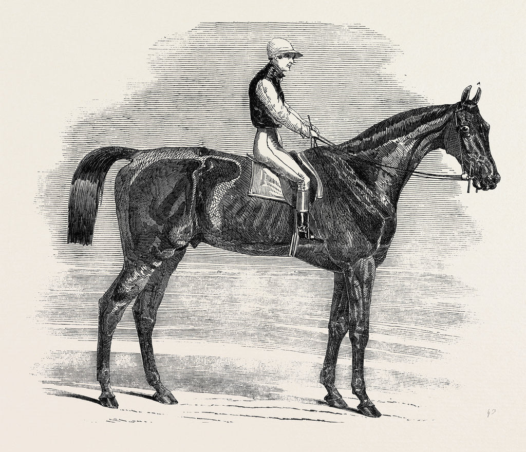 Detail of Weathergage, Winner of the Cesarewitch Stakes, at Newmarket, 1852 by Anonymous