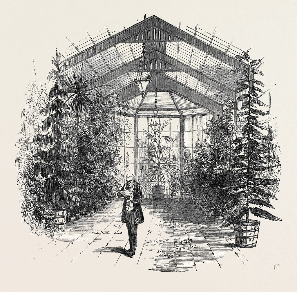 Detail of The Conservatory at Stratfieldsay by Anonymous