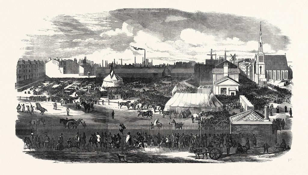 Detail of Show of the Manchester and Liverpool Agricultural Society, in the Haymarket, Great Homer Street, Liverpool, 1852 by Anonymous