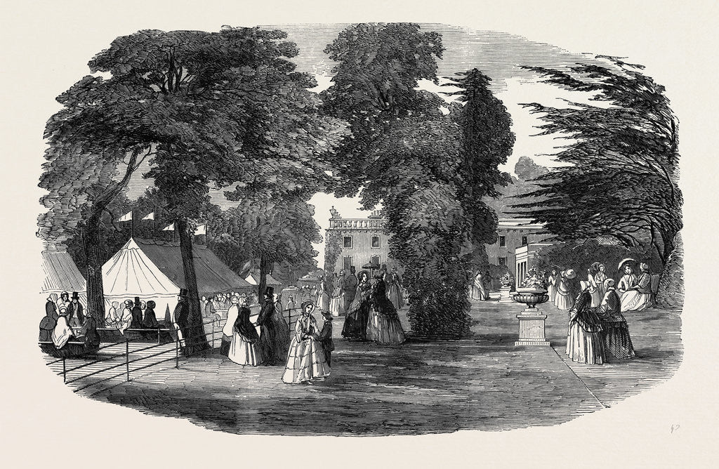 Detail of Fete in the Park and Gardens of Bowood, Wiltshire, 1852 by Anonymous