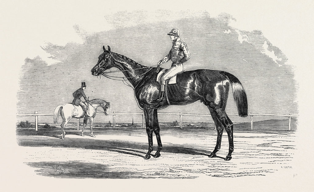 Detail of Kingston, the Winner of the Goodwood Cup, 1852 by Anonymous