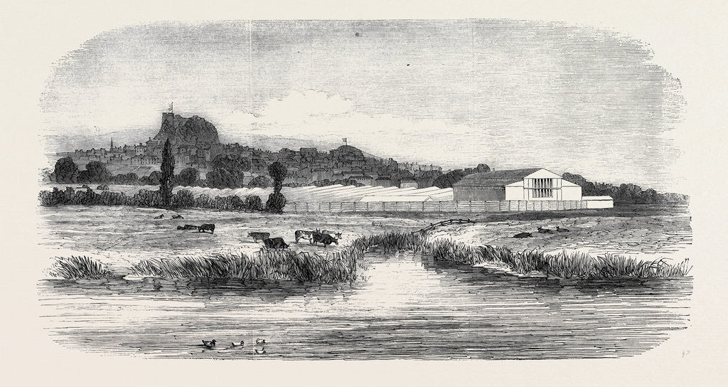 Detail of The Royal Agricultural Society of England, Meeting at Lewes: The Cattle Show, from the River, 1852 by Anonymous