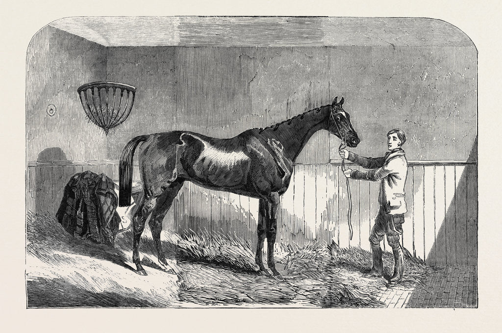 Detail of Lord John Scott's the Reiver, Winner of the July Stakes, at Newmarket, 1852 by Anonymous