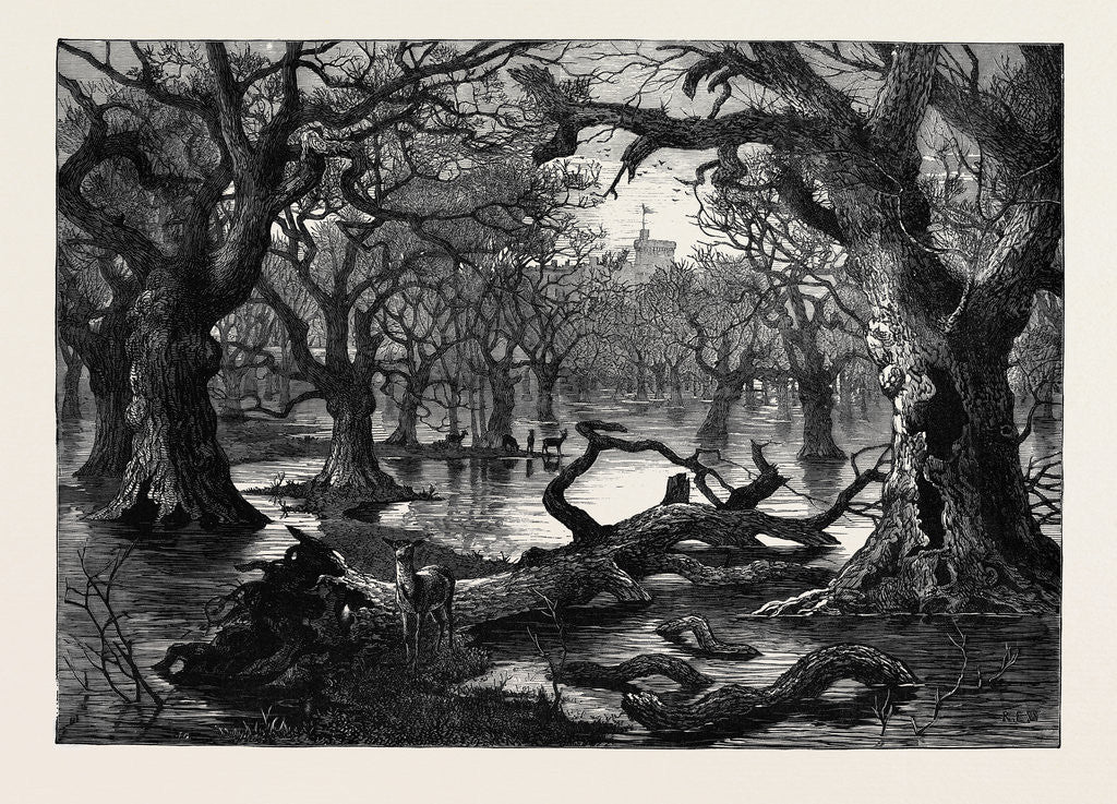 Detail of The Thames Floods: Scene in the Home Park Windsor 1879 by Anonymous