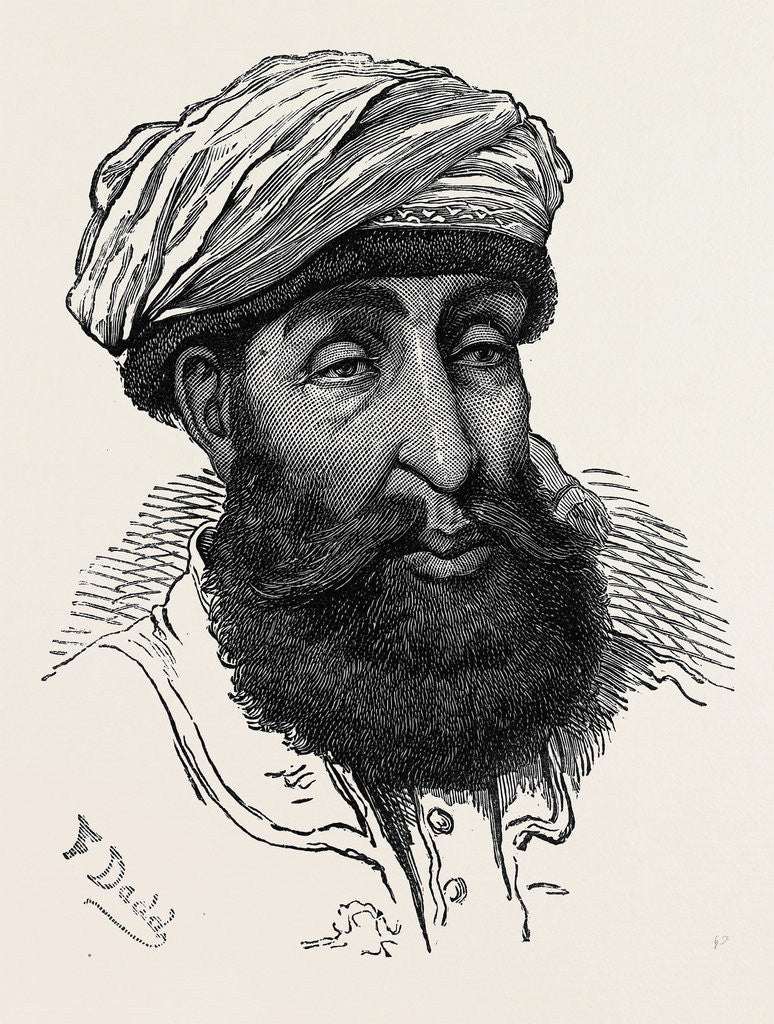 Detail of The Afghan War: Sayid Mahmoud Badshah of Kunar 1879 by Anonymous